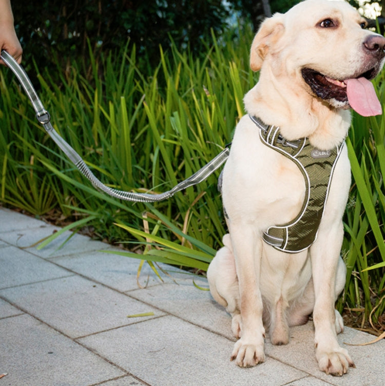 Dog Outdoor Anti-Scourge Traction Rope Nylon Reflective Elastic Stretch Dog Walking Rope( Green)