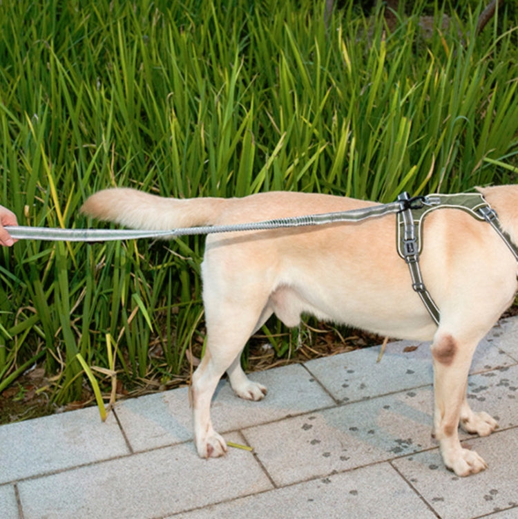 Dog Outdoor Anti-Scourge Traction Rope Nylon Reflective Elastic Stretch Dog Walking Rope( Green)