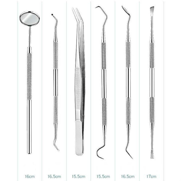 6 in 1 Silver Box Stainless Steel Dental Tools Dental Care Tartar Tool Dentist Tool Set