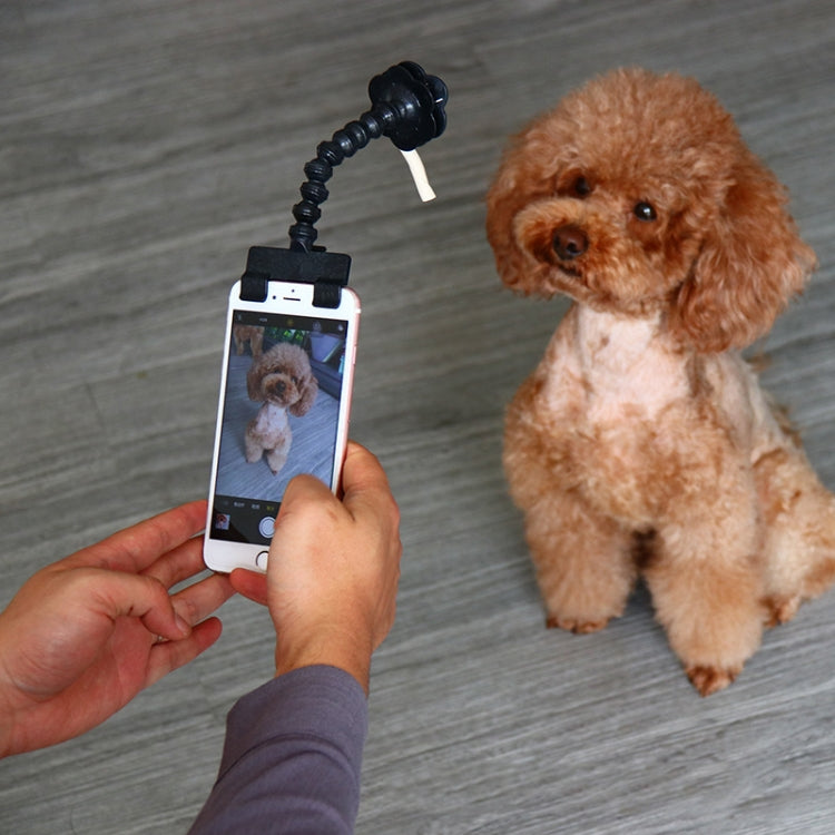 Pet Camera Artifact Dog Cat Looking At Camera Phone Clip(Black)