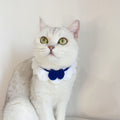 Handmade Woolen Knitting Adjustable Flower Bow Knot Cat Dog Bib Accessories Collar, Size:S 20-28cm(White)