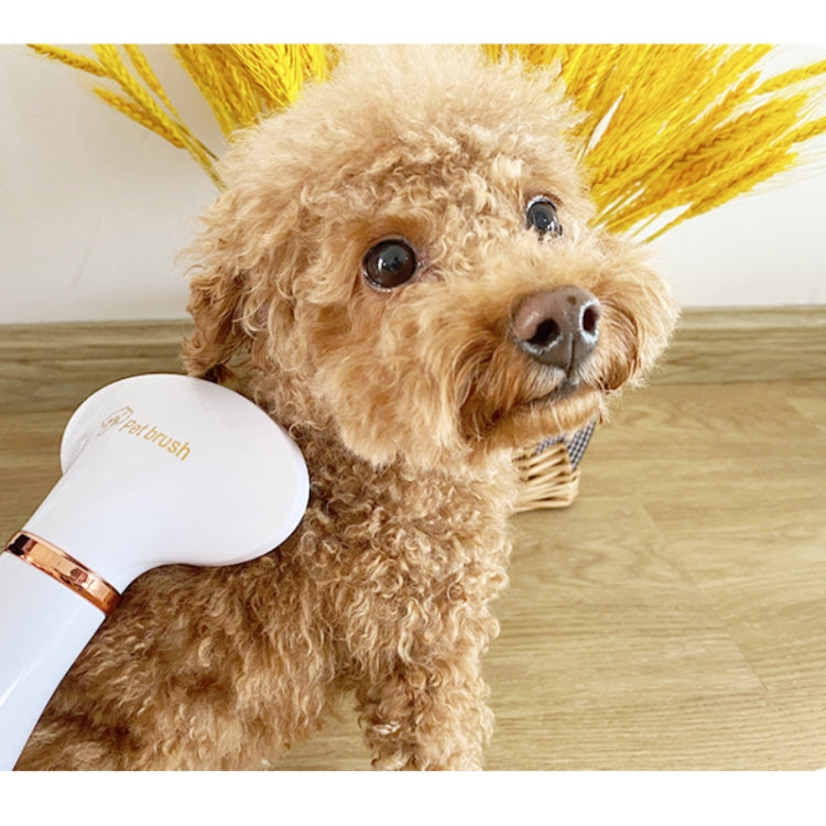 Pet Hair Dryer Cat & Dog Cleaning Electric Comb, Specification:UK Plug(Green)