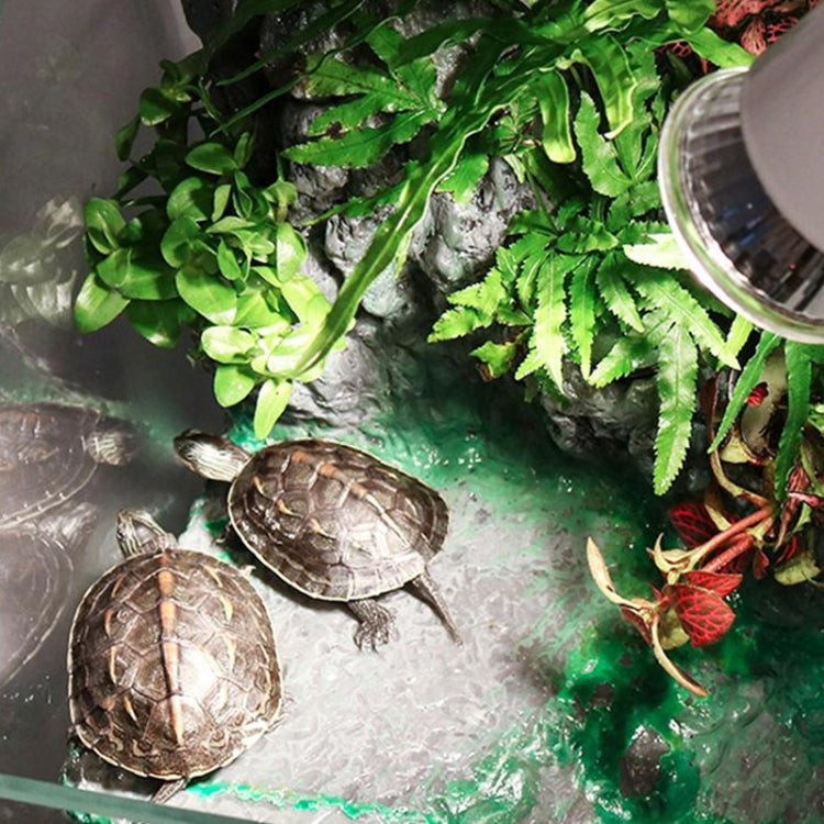 UVA+UVB Full Spectrum Solar Reptile Lamp Lizard Light Turtle Basking Lamp, Specification: 25W
