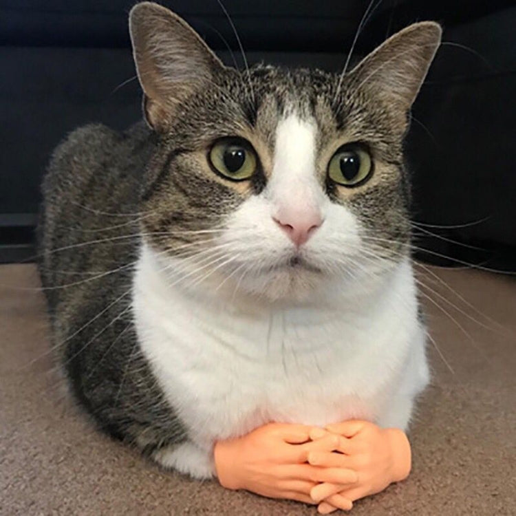 Pet Massage Finger Cots and Cat Gloves