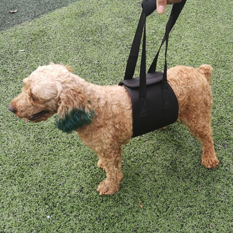 HCPET F1905 Disabled Dogs Assistive Belts Elderly Dogs Walking Assisted Leashes Pet Supplies, Size: S(Black)