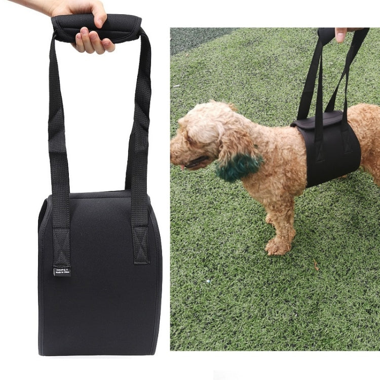 HCPET F1905 Disabled Dogs Assistive Belts Elderly Dogs Walking Assisted Leashes Pet Supplies, Size: L(Black)