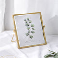 Metal Glass Photo Frame Plant Specimen Holder, Size: 4 Inch(Golden Bracket)