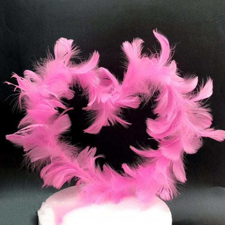 Variety Of Feather Cake Dessert Decoration Pink