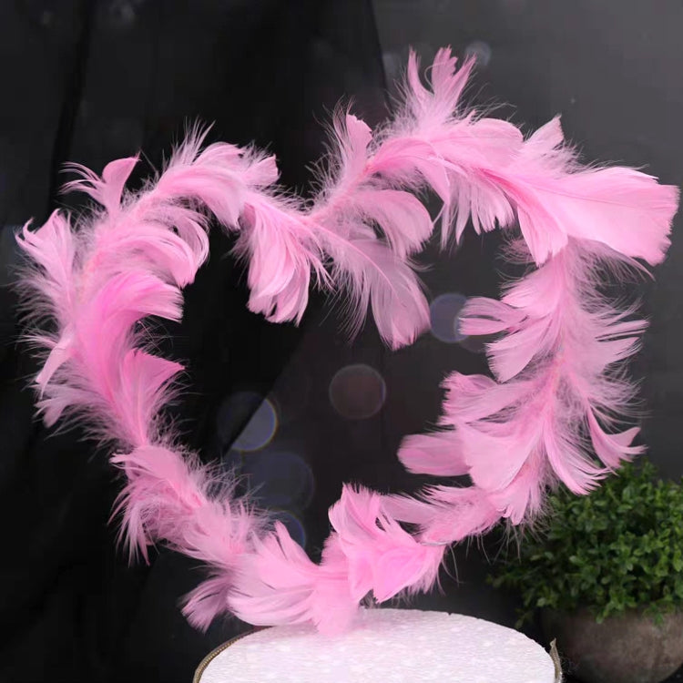 Variety Of Feather Cake Dessert Decoration Pink