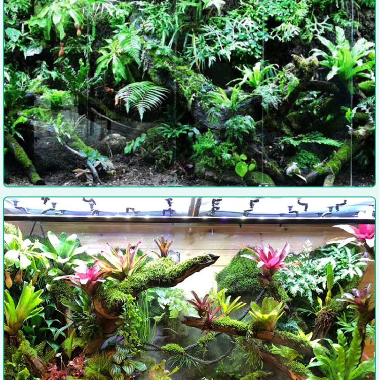 MIUS B150 Rainforest Tank Ecological Landscaping Atomization Climbing Pet Spray Pump, CN Plug