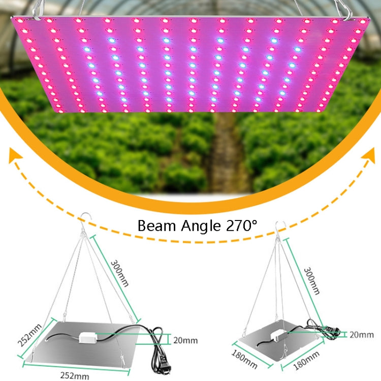 LED Plant Growth Lamp Red Blue Spectrum Flower Fill Light Planting Lamp Room Quantum Plate Plant Light, Power: 169 Beads AU Plug