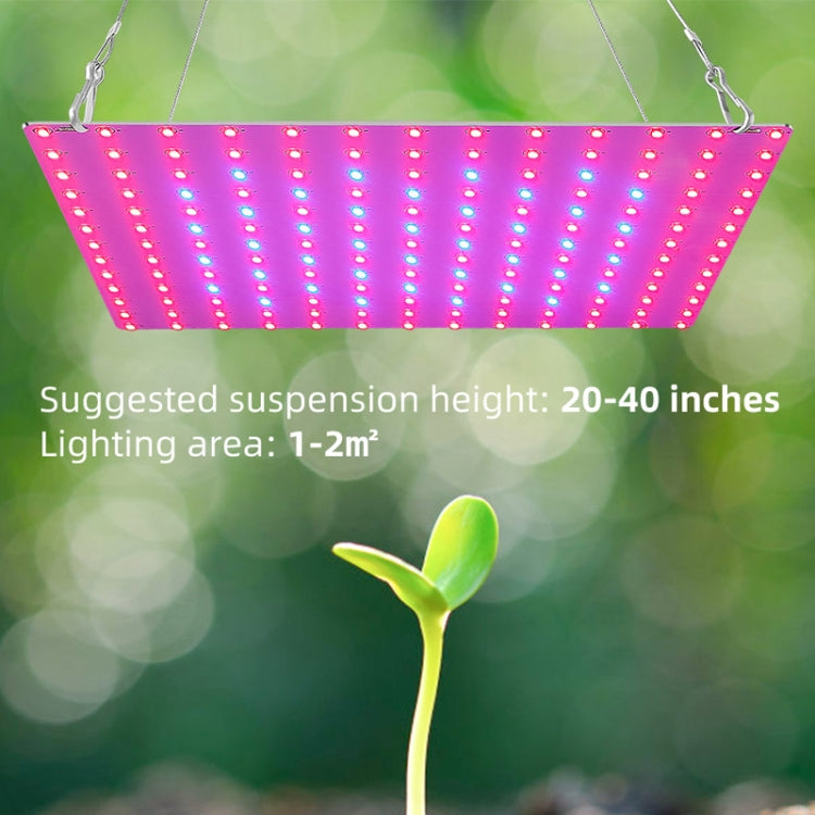 LED Plant Growth Lamp Red Blue Spectrum Flower Fill Light Planting Lamp Room Quantum Plate Plant Light, Power: 169 Beads AU Plug