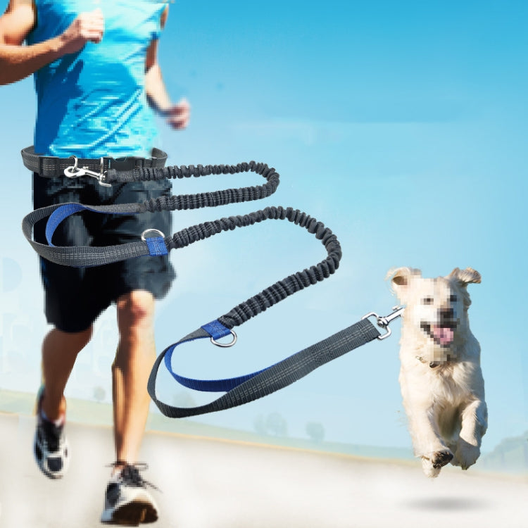 Running Reflective Double Telescopic Dog Rope Dog Chain Traction(Black D Ring Fluorescent Green)