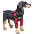 Pet Dog Leg Knee Guard Surgery Injury Protective Cover, Size: S(Classic Model (Red))