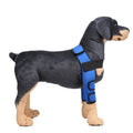 Pet Dog Leg Knee Guard Surgery Injury Protective Cover, Size: L(Classic Model (Blue))