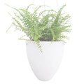 Wire Hanging Plastic Flowerpot With Automatic Water Absorption And Frosted Surface(D09 Caliber 19cm)