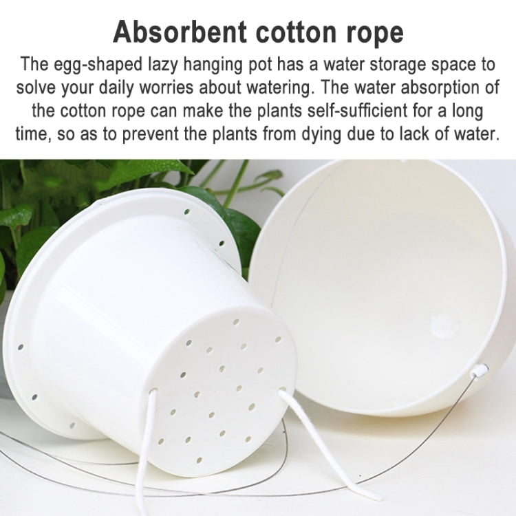 Wire Hanging Plastic Flowerpot With Automatic Water Absorption And Frosted Surface(D09 Caliber 19cm)