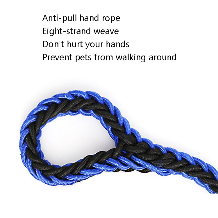 Dog Leash Braided Belt Pet Explosion-Proof Leash, Size: M(Chain Blue+Black)