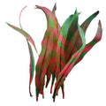Aquarium Fish Tank Decoration Landscape Silicone Simulation Coral Artificial Kelp Landscape Decoration, Size: HZ005 43cm Large(Dark Red)