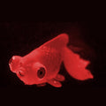 Night Light Simulation Fish Tank Decorations Environmentally Friendly Silicone Colorful Fish(5 Red Goldfish)