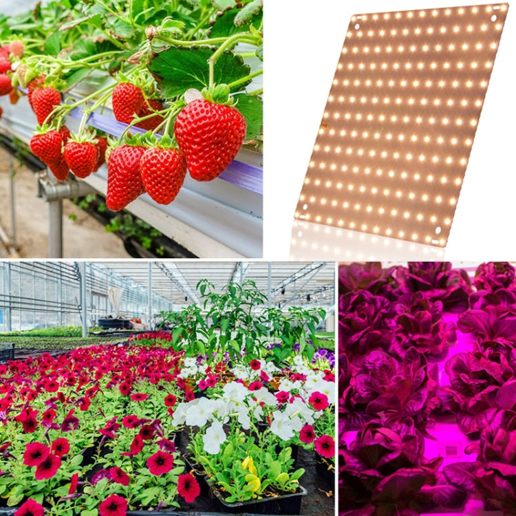 LED Plant Growth Light Indoor Quantum Board Plant Fill Light, Style: D2 25W 81 Beads AU Plug (Pink Purple)