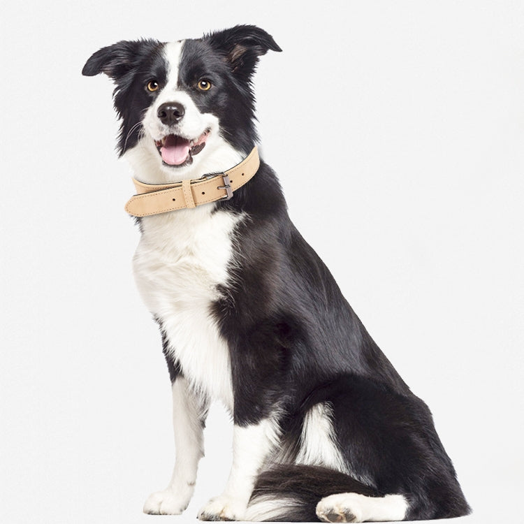 JINMAOHOU Dogs Double-Layer Leather Collar, Specification: XS 34x1.7cm(Purple)