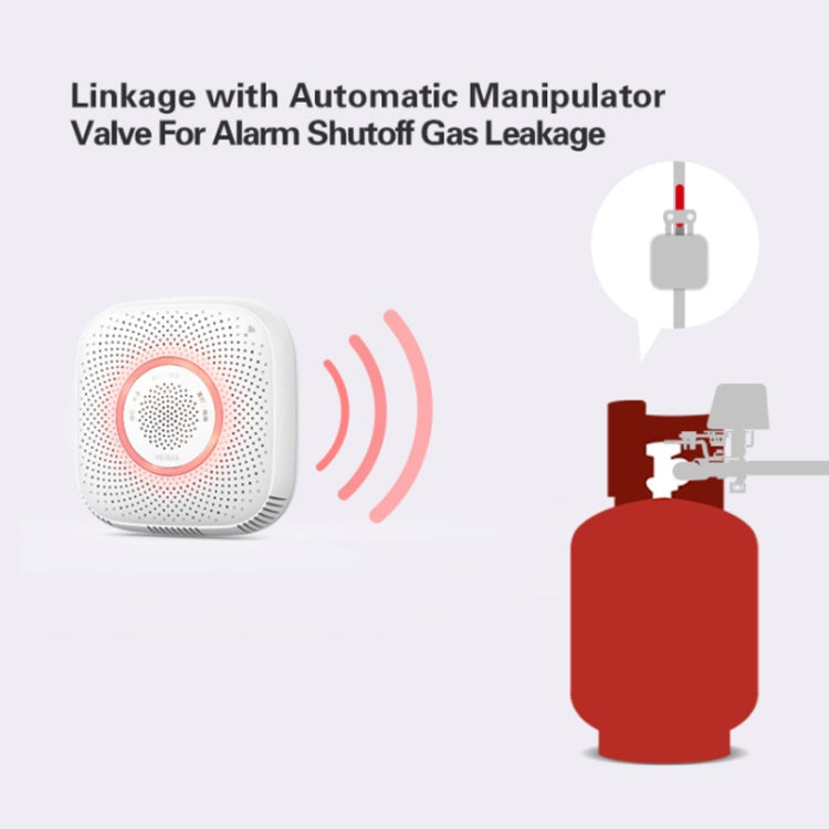 TY-GSA-87 Smart Home WIFI Gas Detector, Specification: US Plug