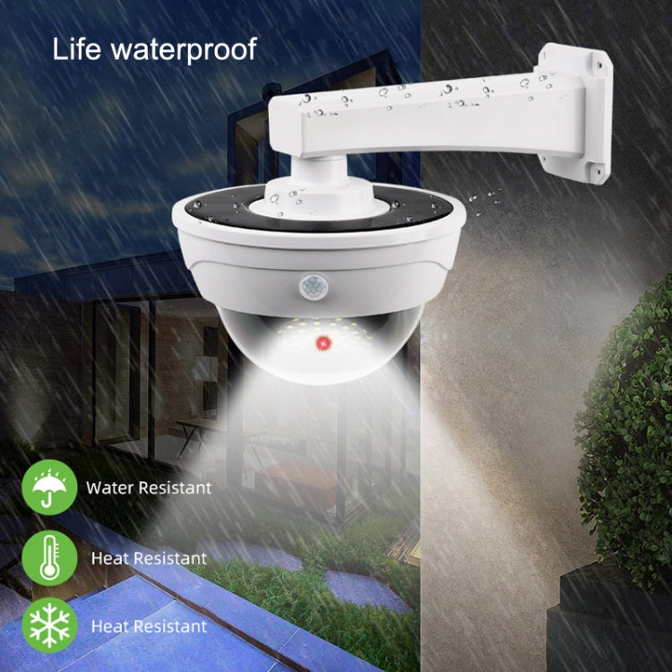 Solar Simulation Camera Monitoring Light Human Body Induction Wall Light(TY11301 LED)