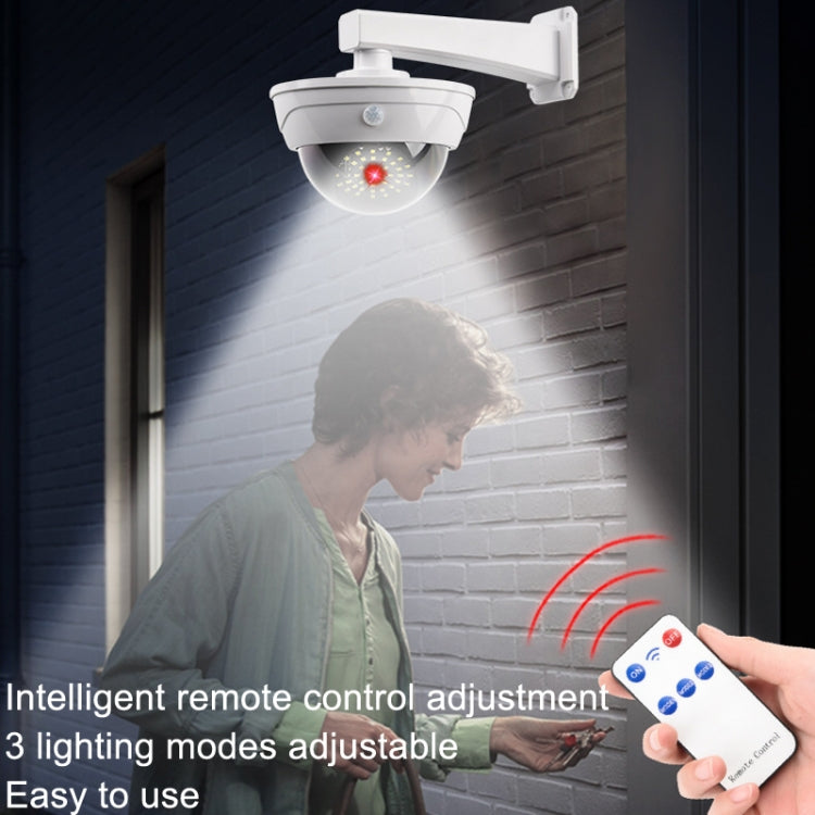 Solar Simulation Camera Monitoring Light Human Body Induction Wall Light(TY11302 SMD)