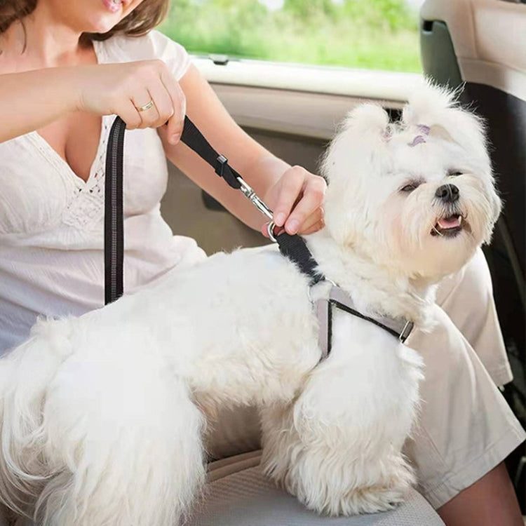 Elastic Reflective Car Dual-purpose Dog Leash(Purple)