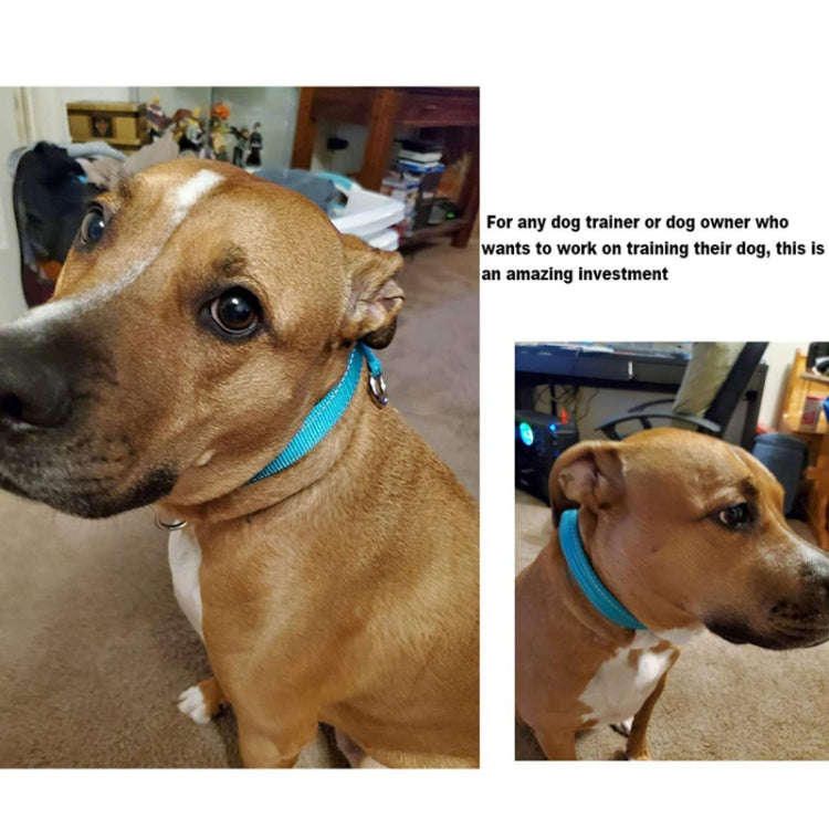 Nylon Reflective Filament P Chain Adjustable Size Collar(Sky Blue)