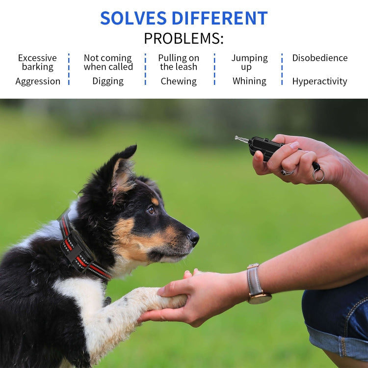 Electronic Dog Trainer Rechargeable Pet Remote Control Bark Stopper, Specification: 1 Drag 1 Orange