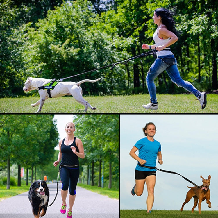 Pet Run Traction Rope Portable Waist Bag(Navy)