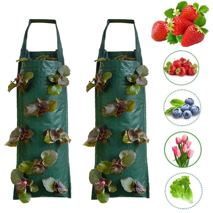 Multi-Port Grow Bags For Plant Strawberry Potato Hanging Planting Pots, Size: 6 Port