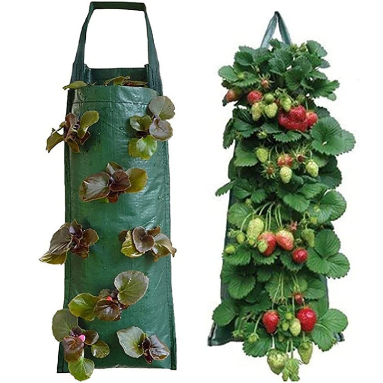 Multi-Port Grow Bags For Plant Strawberry Potato Hanging Planting Pots, Size: 6 Port
