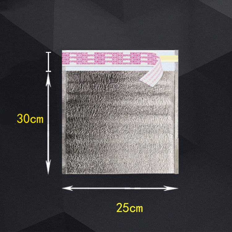 2 PCS Aluminum Foil Storage Bag With Tape For Thermal Insulation And Cold Storage of Food(25x30x0.3cm)