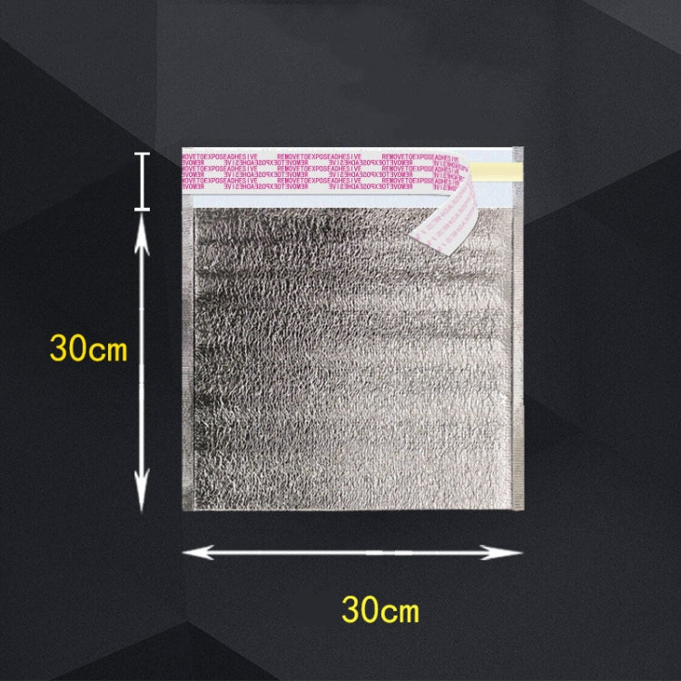 2 PCS Aluminum Foil Storage Bag With Tape For Thermal Insulation And Cold Storage of Food(30x30x0.3cm)