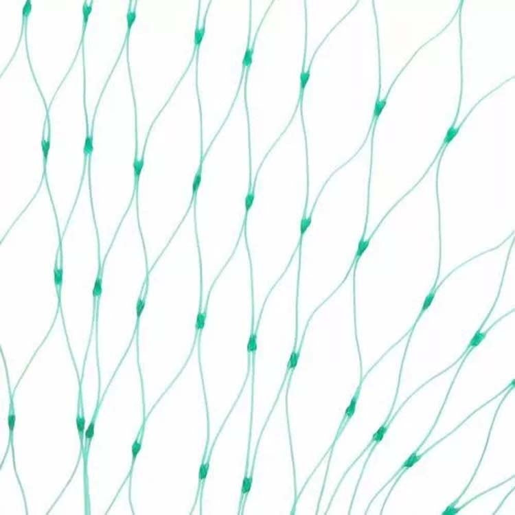 5Mx10M  Anti Bird Protection Net Mesh Garden Plant Netting Protect Plants and Fruit