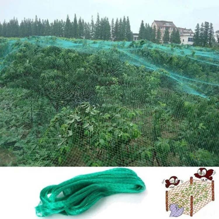 5Mx10M  Anti Bird Protection Net Mesh Garden Plant Netting Protect Plants and Fruit