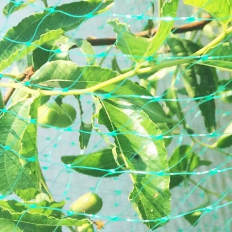 5Mx10M  Anti Bird Protection Net Mesh Garden Plant Netting Protect Plants and Fruit