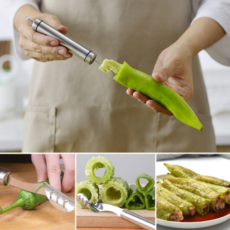 10 PCS Stainless Steel Pepper Seed Decator Fruit Kernel Knife Diplonema Handle