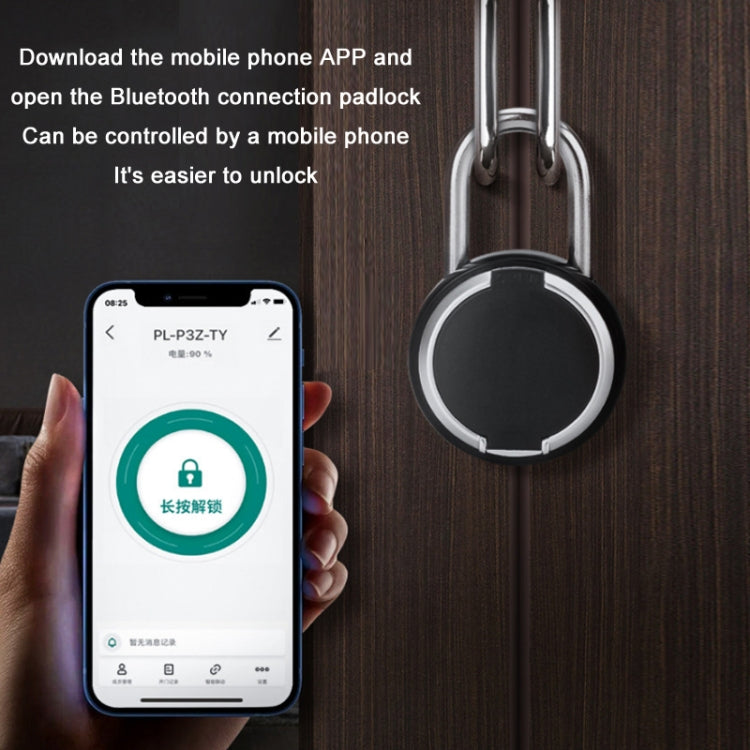 P3Z-TY Outdoor Waterproof Electronic Intelligent Fingerprint Padlock
