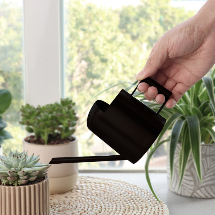 300ML Stainless Steel Watering Can with Long Spout(Black)