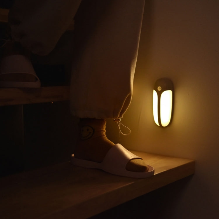 USB Rechargeable Firefly Smart Body Sensor LED Light(Natural Light)