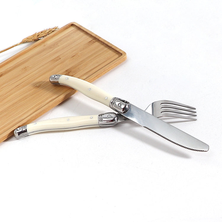 Stainless Steel Knife Fork Spoon Set Plastic Handle Western Tableware, Specification: 6 Spoons