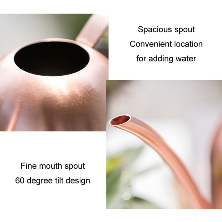 450ML Stainless Steel Long Mouth Gardening Watering Pot(Sand Gold)