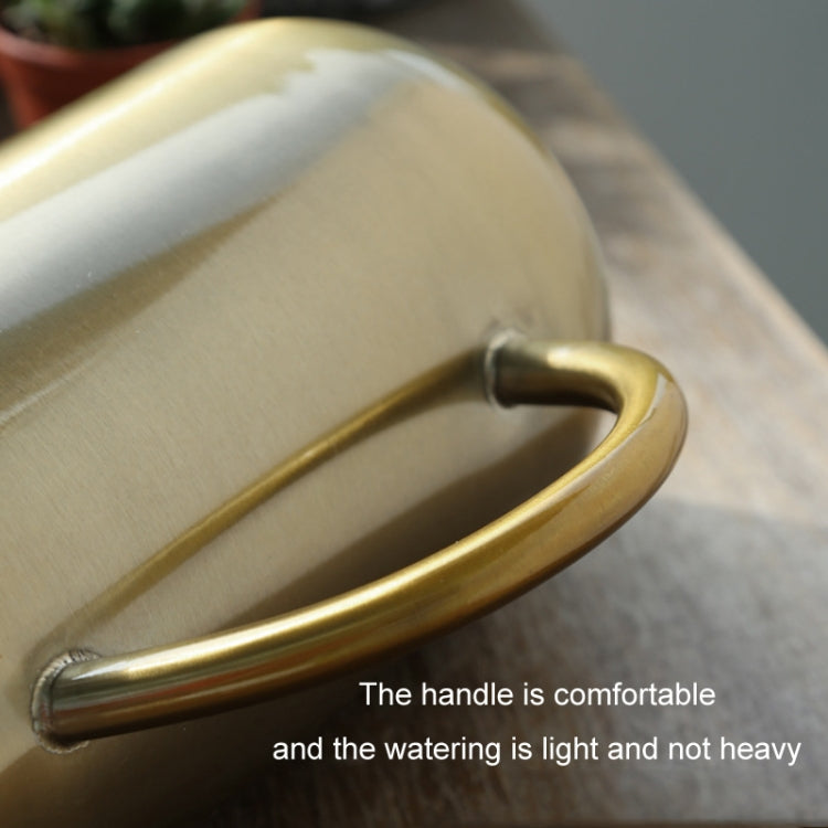 1500ML Household Gardening Stainless Steel Long Spout Heighten Watering Pot, Specification: Steel Color