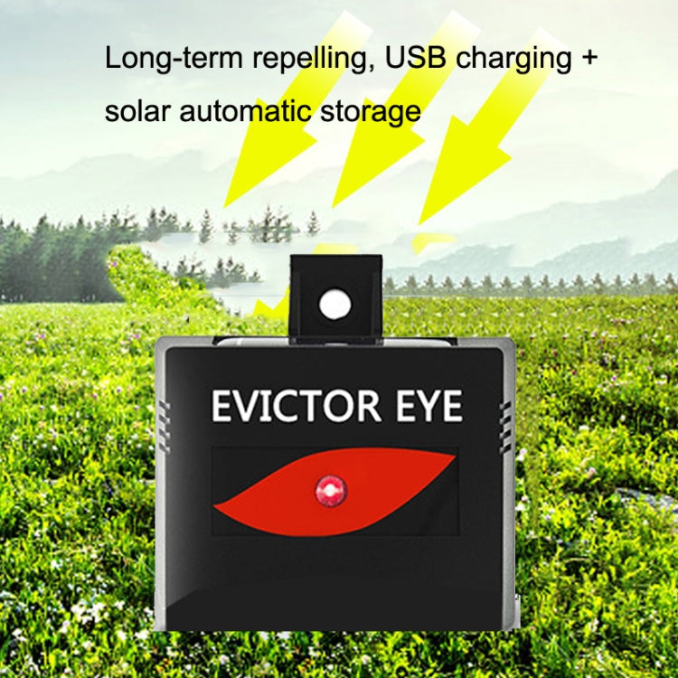 SK191 1pc Solar Farm Wild Eagle Eye Animal Repeller