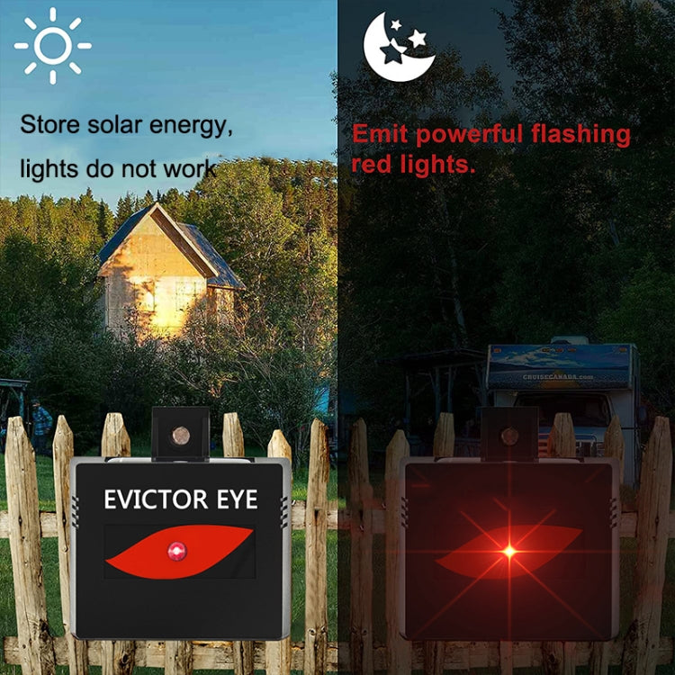 SK191 1pc Solar Farm Wild Eagle Eye Animal Repeller