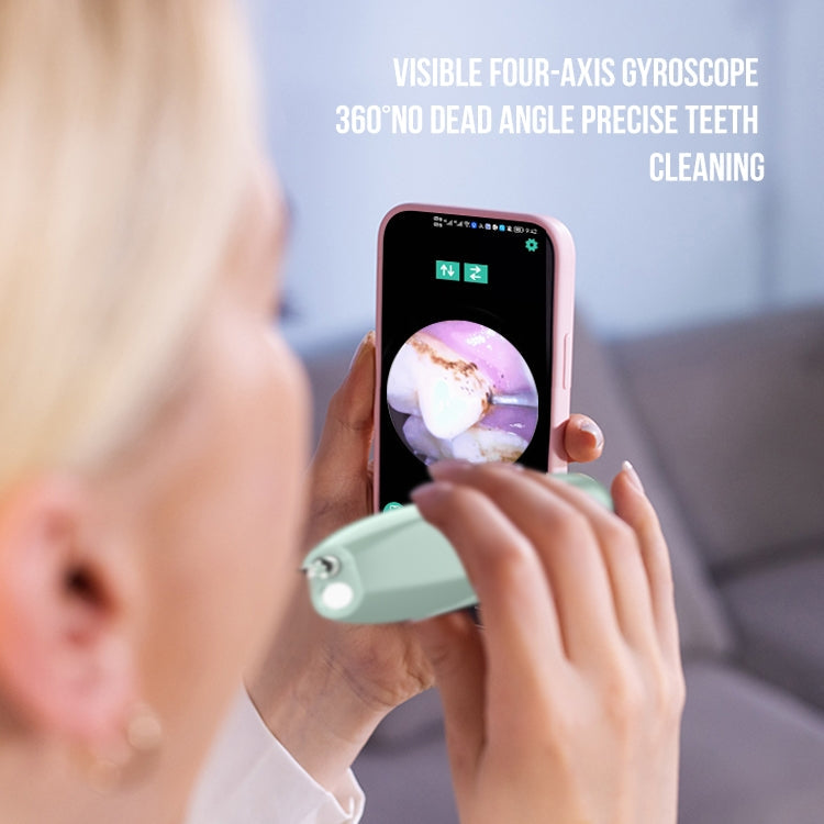 FY-B700 Visual Ultrasonic Scaler Tartar Calculus Tooth Stain Remover Dental Beauty Instrument(Blue Gradient)